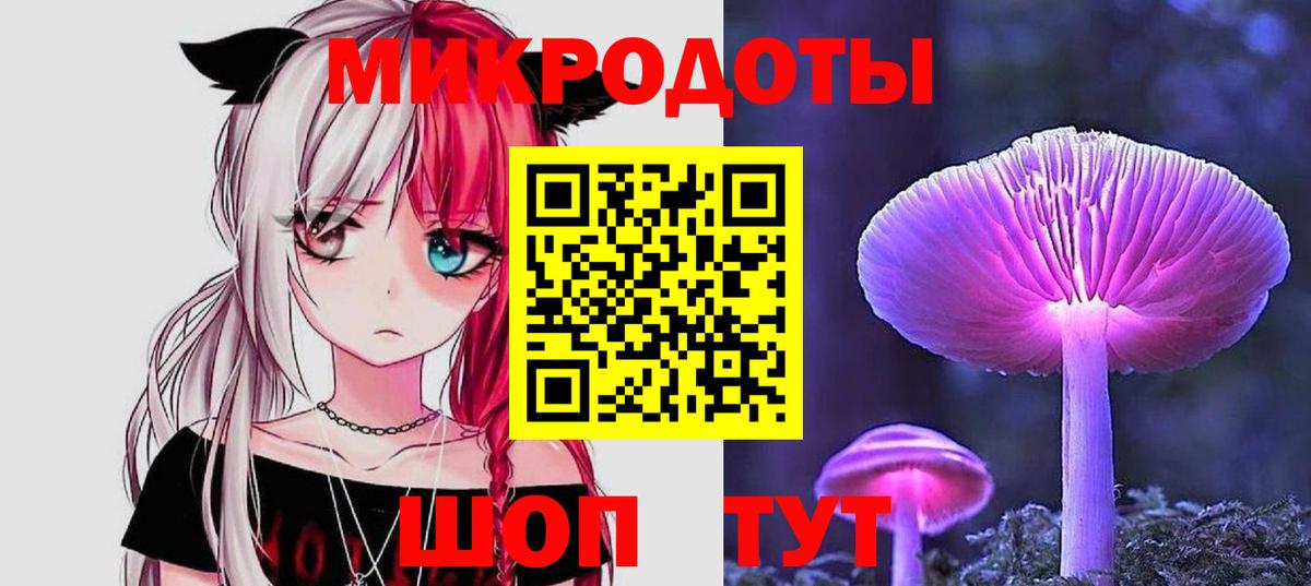 Псилоцибиновые грибы Psilocybe Дивногорск