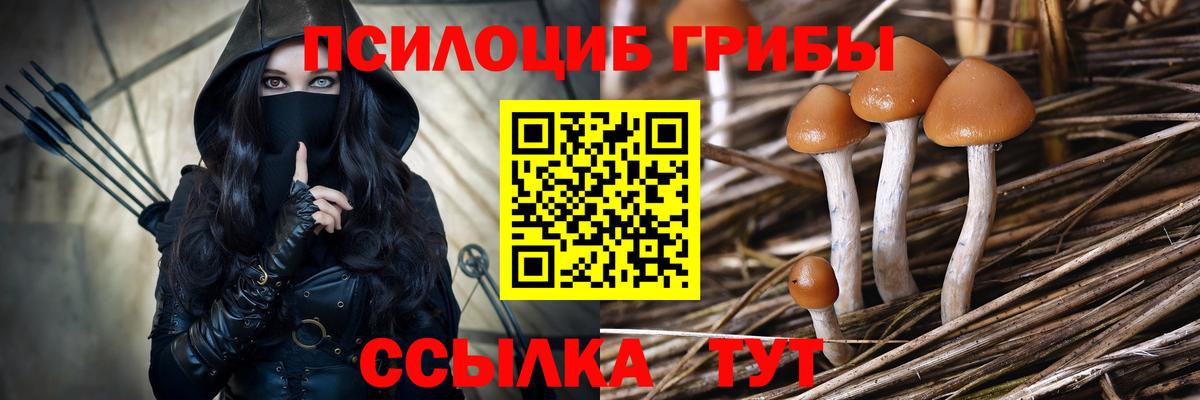 Дивногорск  Псилоцибиновые грибы прущие грибы  Галлюциногенные грибы Magic Shrooms  закладка  Вход с VPN 
